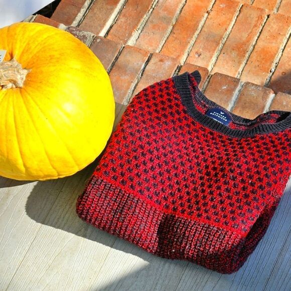 American Eagle Outfitters Vintage Boyfriend pullover crew neck women's sweater g - Picture 2 of 10